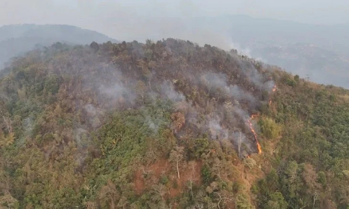 Wokha District wildfire spreads out of control, impacting farmlands